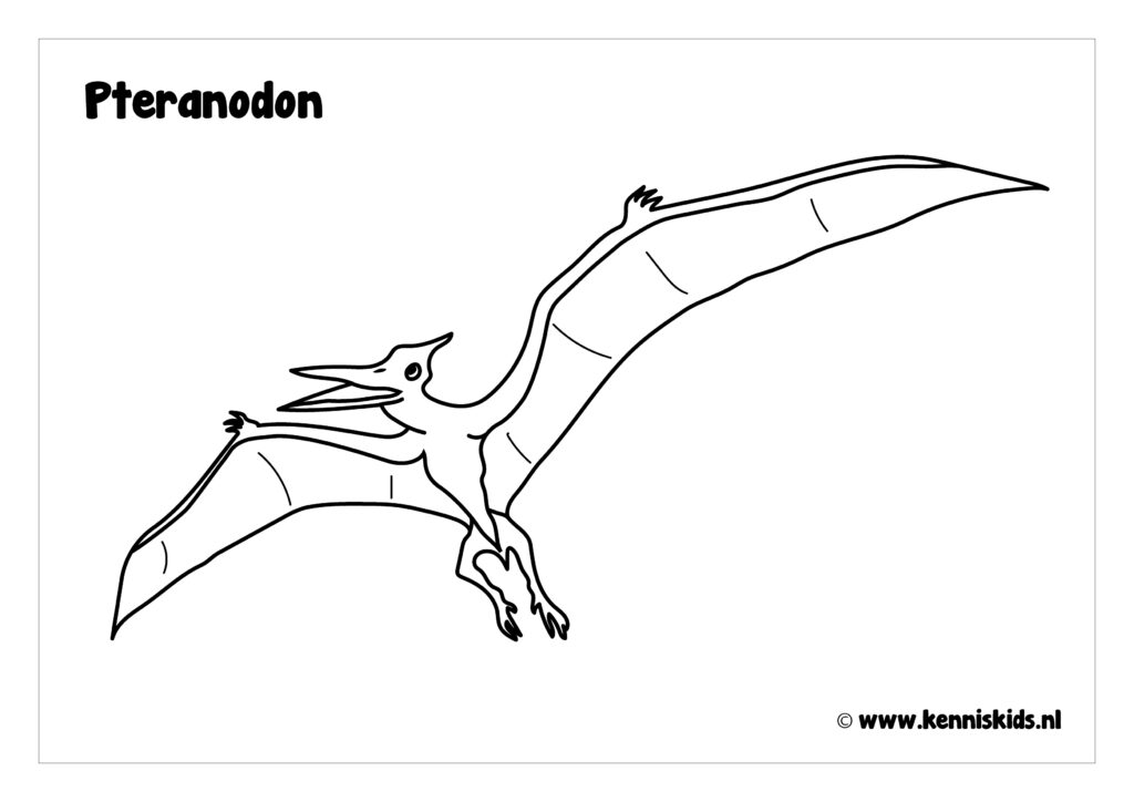 Kleurplaat Pteranodon