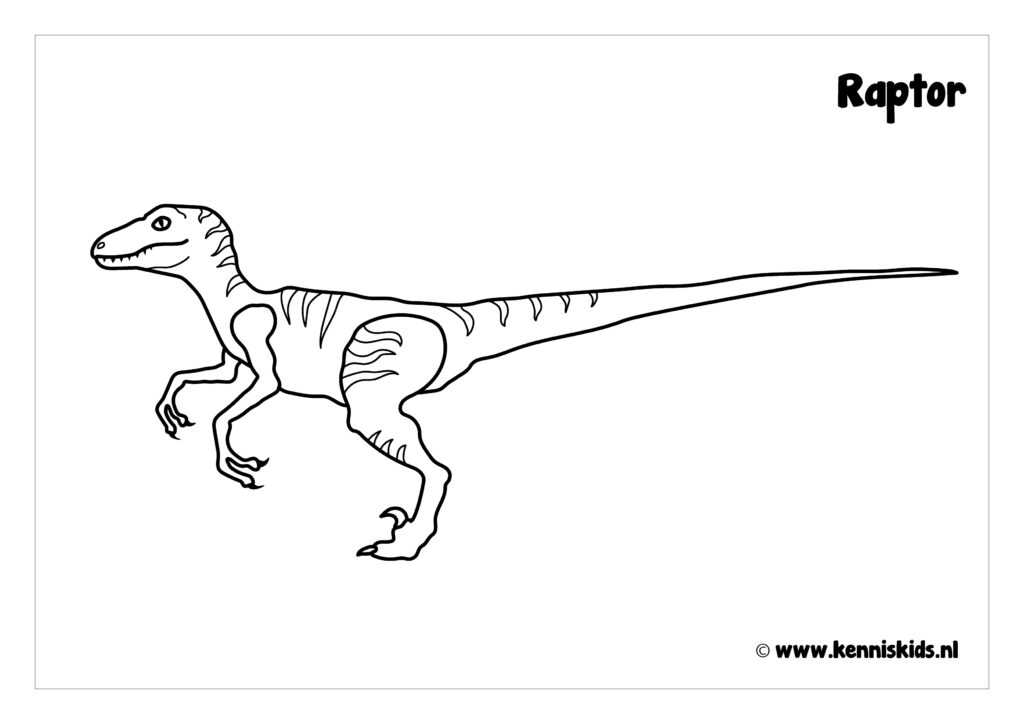 Kleurplaat Raptor